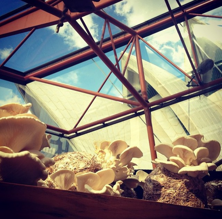 Screenshot 2015-05-25 14.08.28