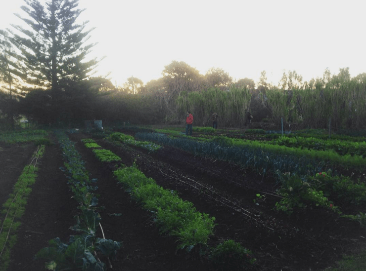 Screenshot 2016-08-30 11.44.55